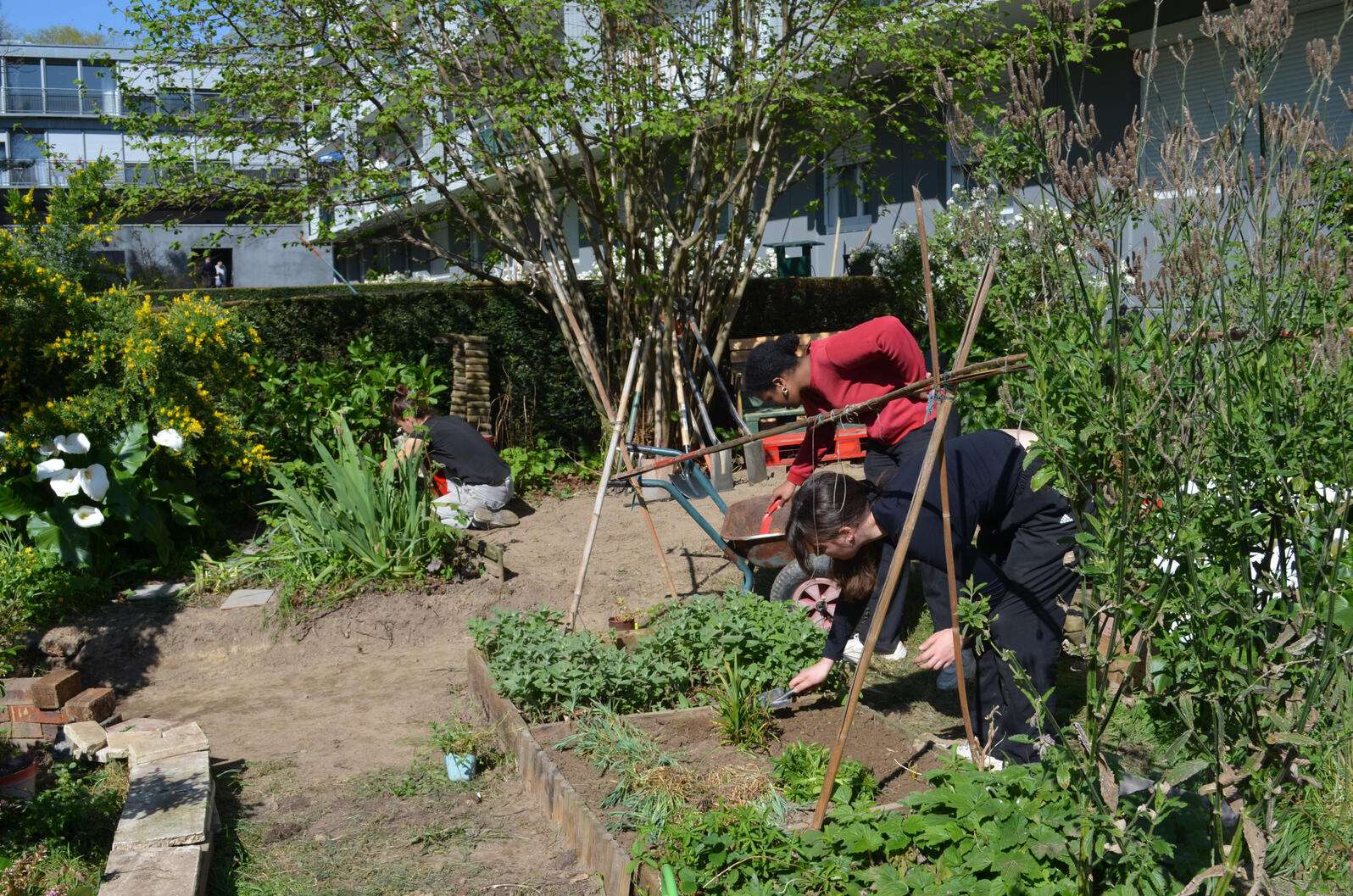 Le jardin des noisettes